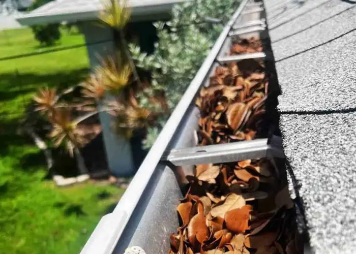 Ridgeville gutter cleaning home page